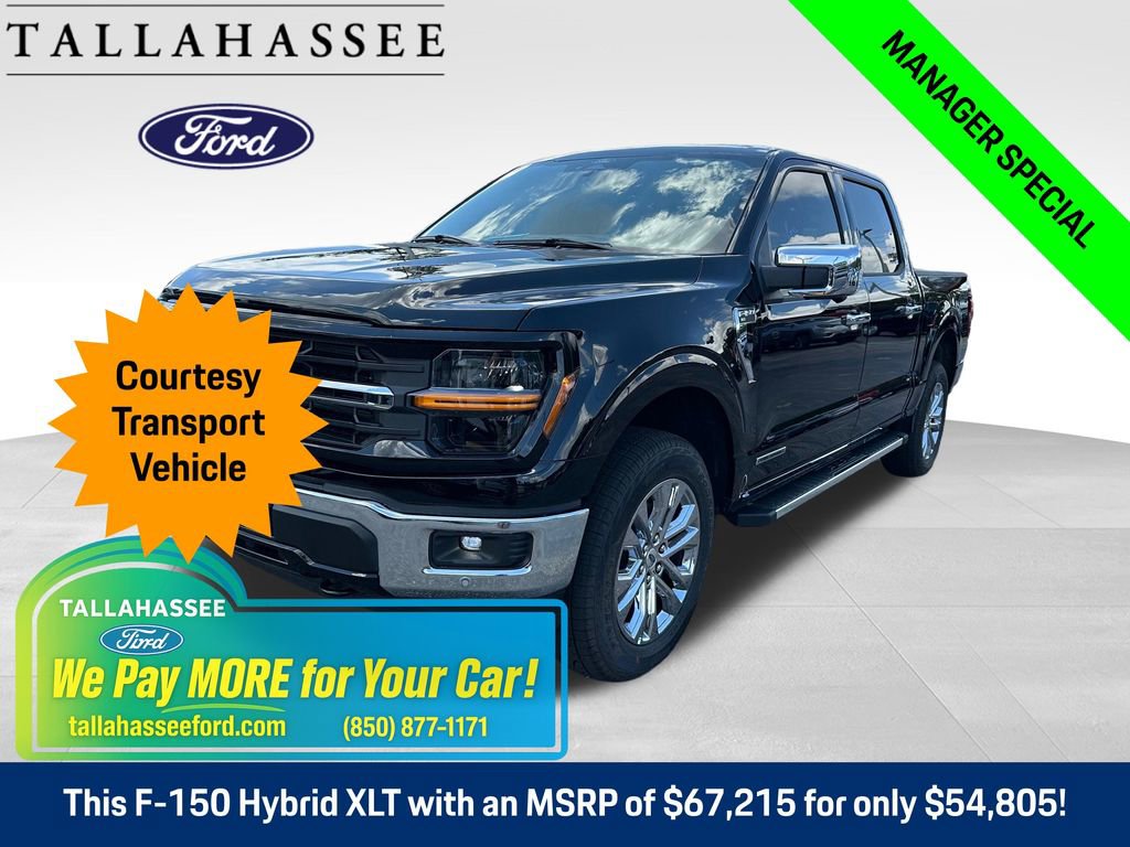 New 2025 Ford F150 XLT w/ Equipment Group 303A High