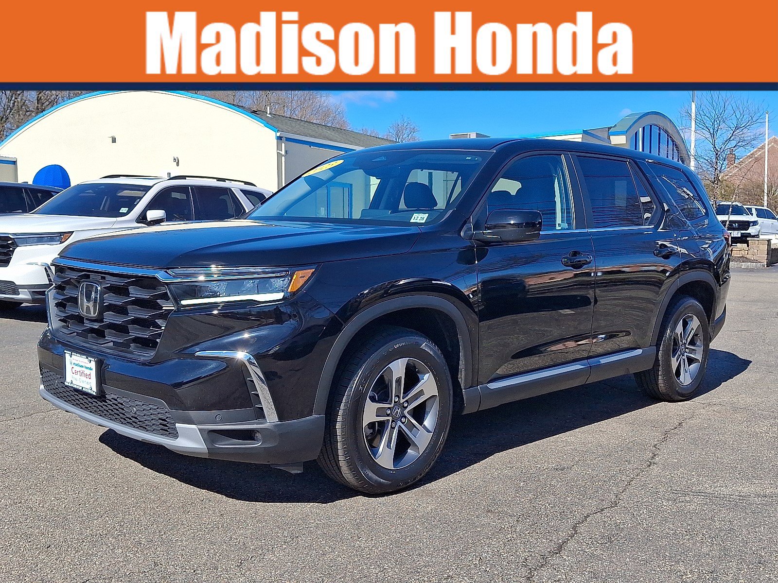 Certified 2024 Honda Pilot EX-L image 1