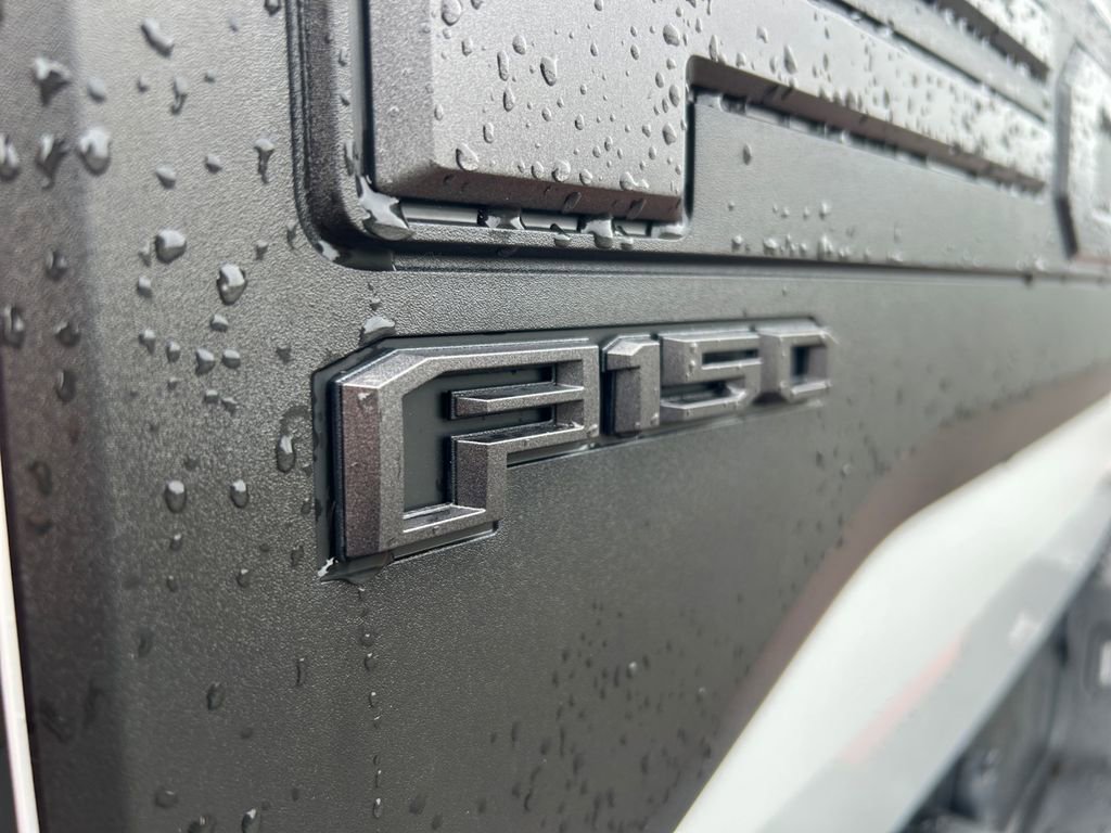 Used 2019 Ford F150 Raptor w/ Equipment Group 802A Luxury image 31