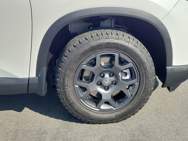 Certified 2025 Honda Pilot TrailSport image 5