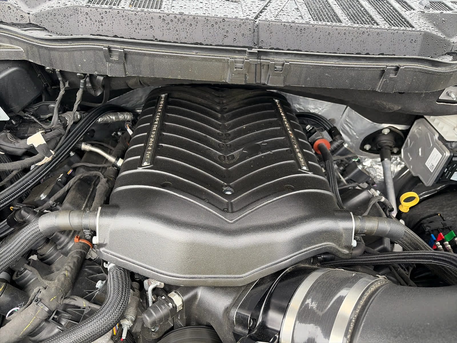 Used 2025 Ford F150 XL AWD/4WD image 6