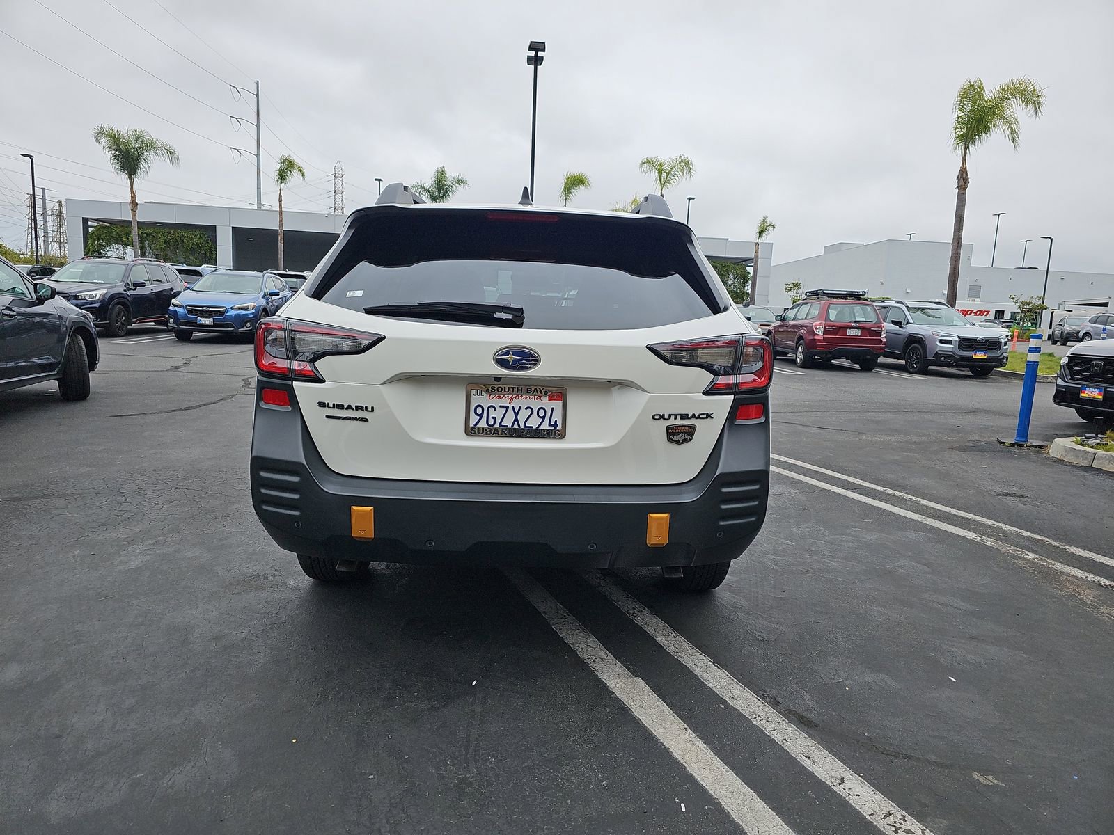 Used 2024 Subaru Outback Wilderness AWD/4WD image 13