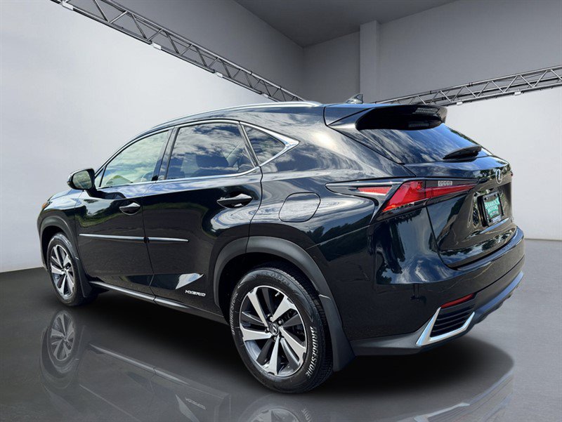 Used 2019 Lexus NX 300h AWD w/ Premium Package image 5