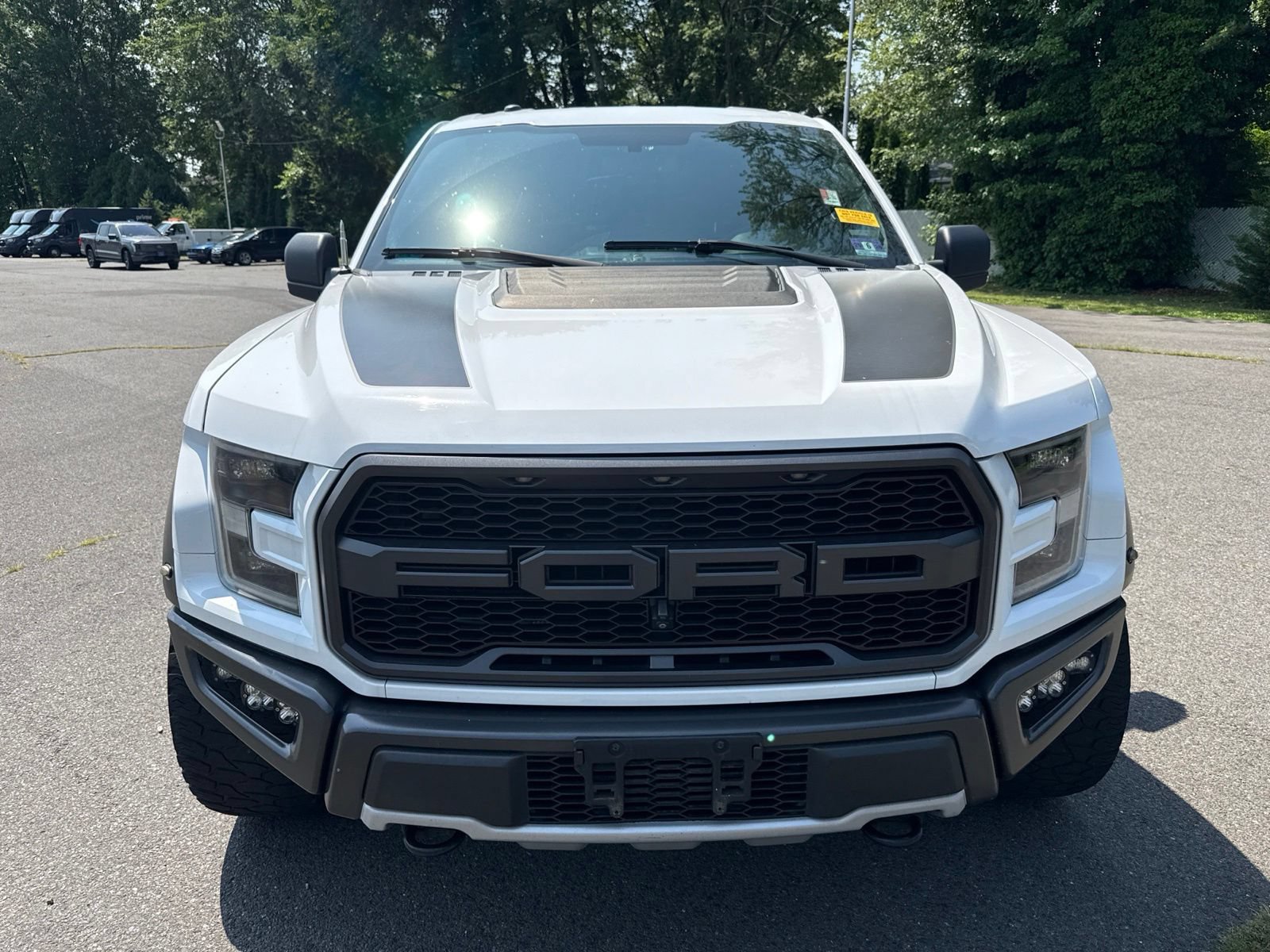 Used 2017 Ford F150 Raptor w/ Equipment Group 801A Mid AWD/4WD image 2