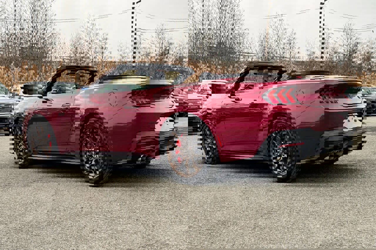 Used 2025 Ford Mustang GT Premium image 5