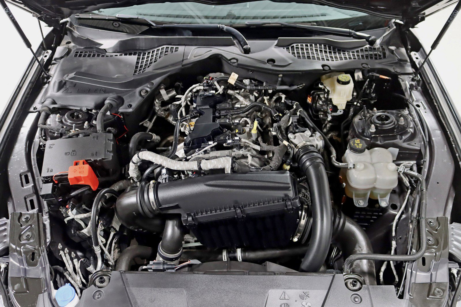 Used 2024 Ford Mustang Premium RWD image 33
