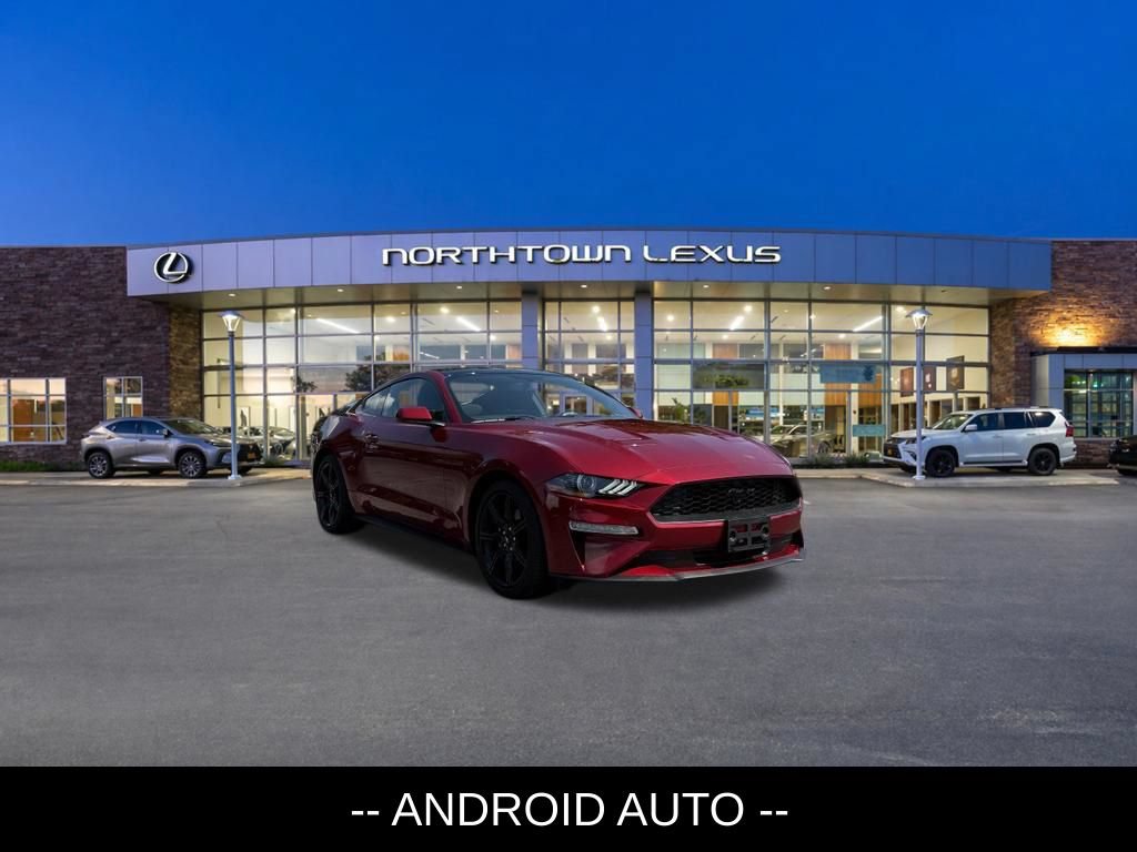 Used 2019 Ford Mustang Coupe w/ Equipment Group 101A RWD image 3