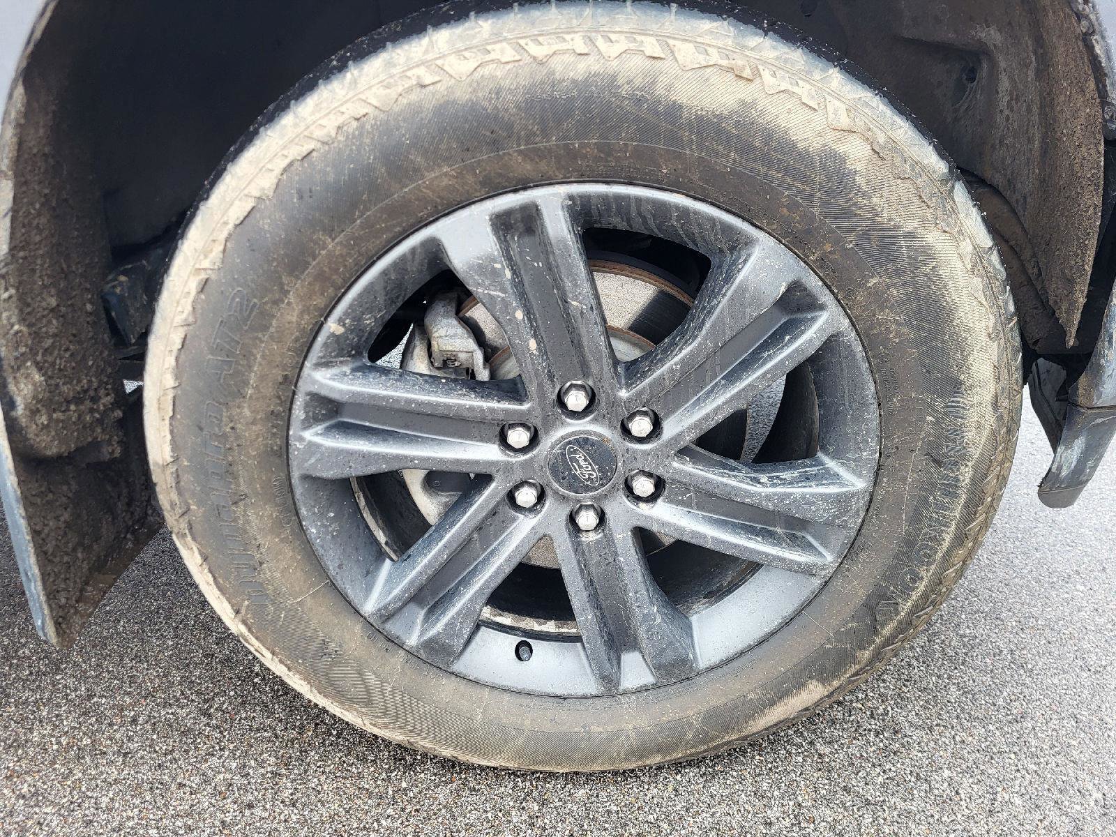 Used 2022 Ford F150 XLT w/ Equipment Group 302A High image 14