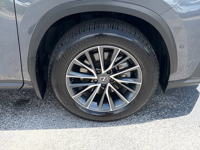 Used 2025 Lexus NX 350h AWD w/ Cold Area Package image 9