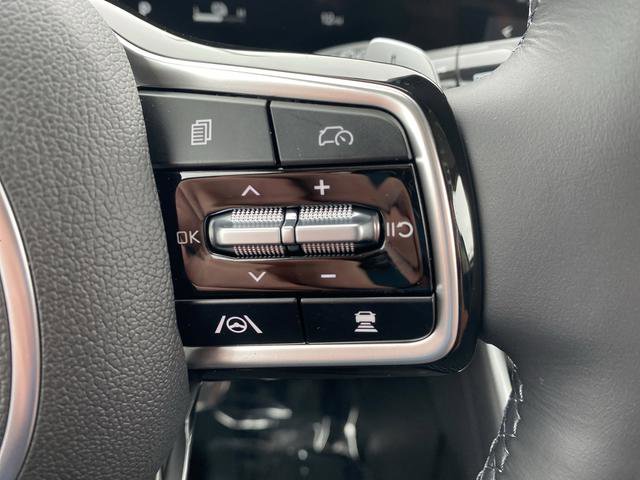 New 2026 Kia Carnival SX Prestige image 34