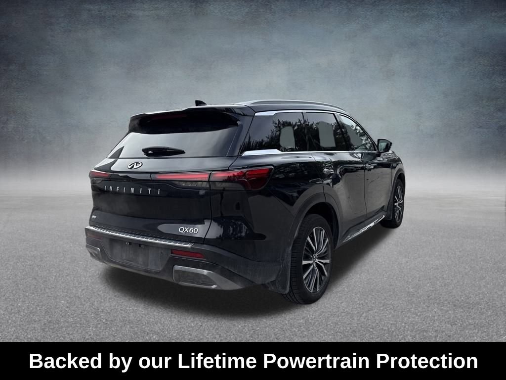 Used 2023 INFINITI QX60 Sensory w/ Vision Package image 6