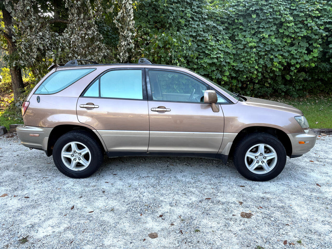 Used 1999 Lexus RX 300 image 2
