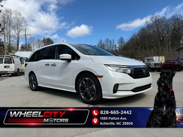 Used 2024 Honda Odyssey Elite image 1