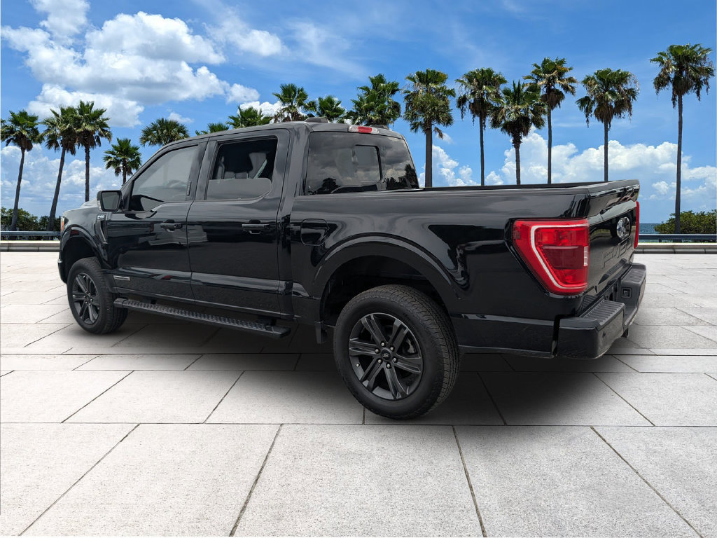 Used 2023 Ford F150 XLT w/ Equipment Group 302A High AWD/4WD image 6