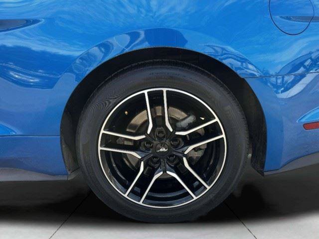 Used 2021 Ford Mustang GT Premium w/ Equipment Group 401A RWD image 51
