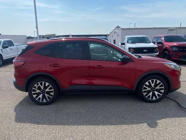 Used 2020 Ford Escape SE Sport AWD/4WD image 4