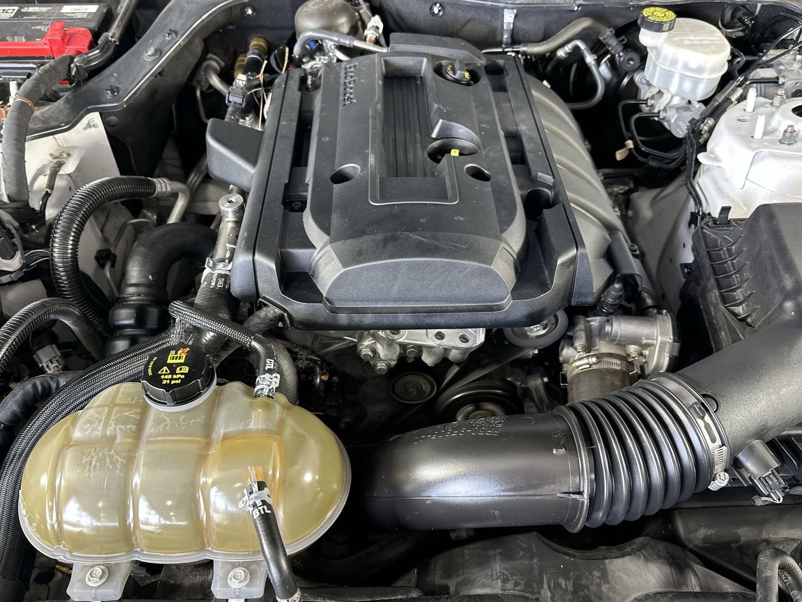 Used 2020 Ford Mustang Coupe w/ Equipment Group 101A image 30