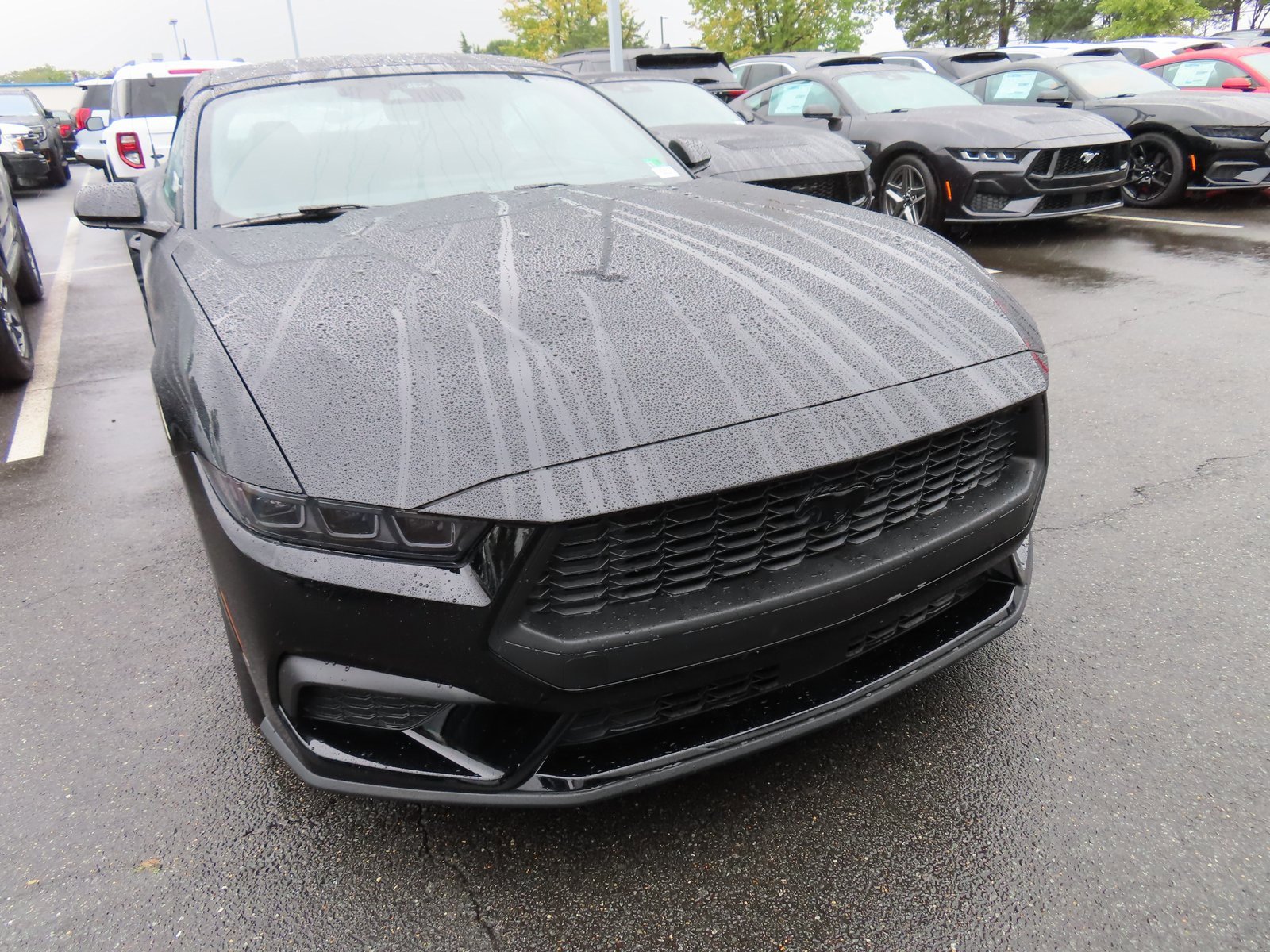 New 2025 Ford Mustang EcoBoost w/ Mustang Nite Pony Package image 2
