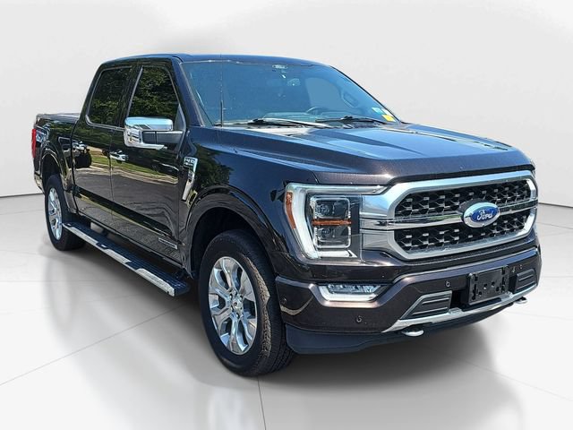 Certified 2021 Ford F150 Platinum w/ Equipment Group 701A High AWD/4WD image 1