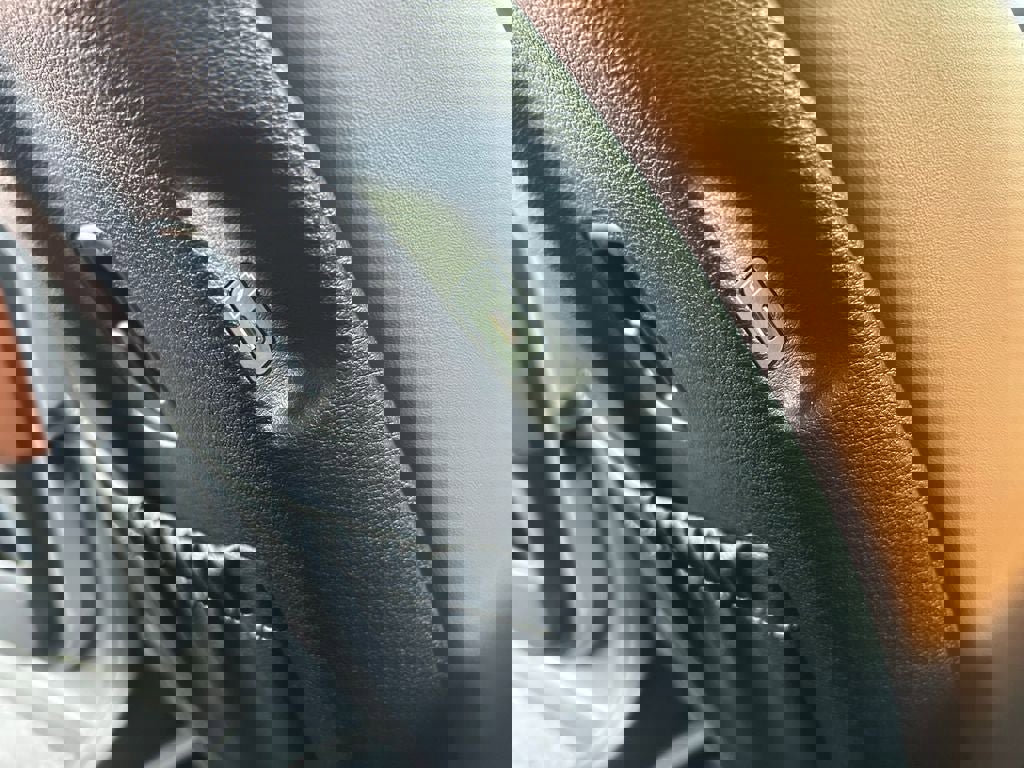 Used 2025 Kia Telluride SX Prestige X-Line image 36