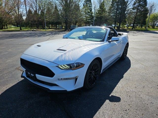 Used 2019 Ford Mustang Premium RWD image 18