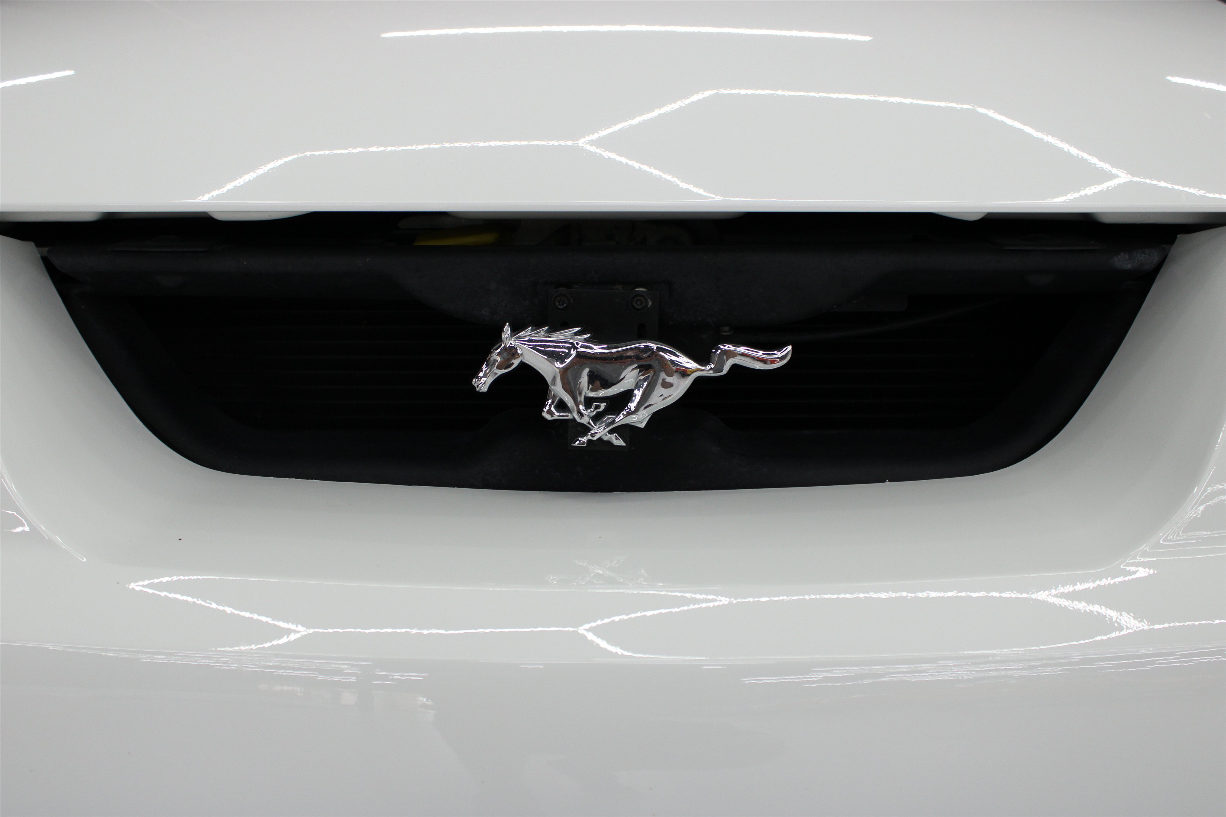 Used 2004 Ford Mustang Cobra RWD image 32