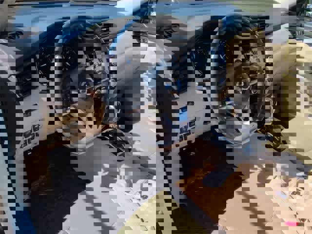 Used 2017 Nissan Rogue SL w/ SL Premium Package image 10