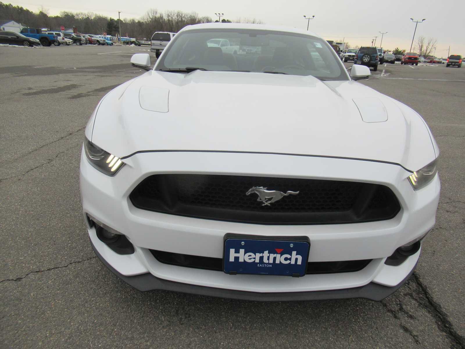Used 2015 Ford Mustang GT Premium w/ Equipment Group 401A image 2