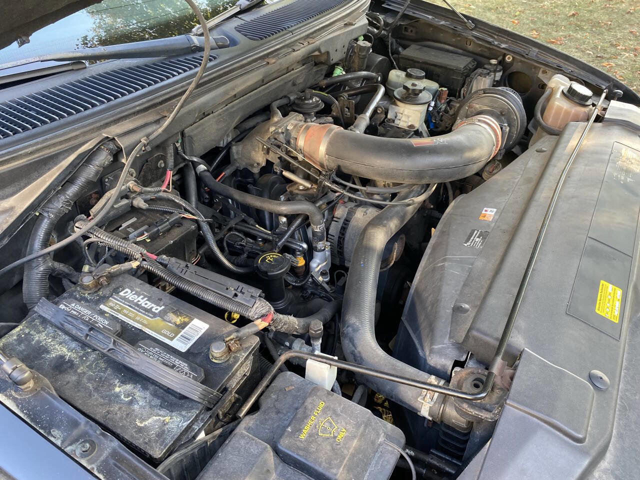 Used 2000 Ford F150 Harley-Davidson RWD image 6