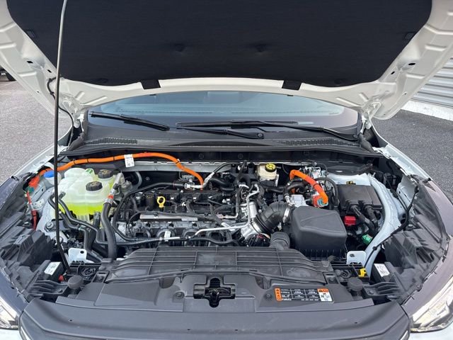 New 2025 Ford Escape ST-Line w/ Equipment Group 301A image 36