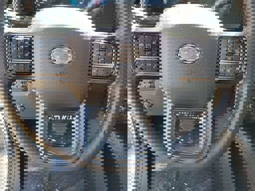 New 2025 Ford F350 Platinum w/ Tremor Off-Road Package image 17