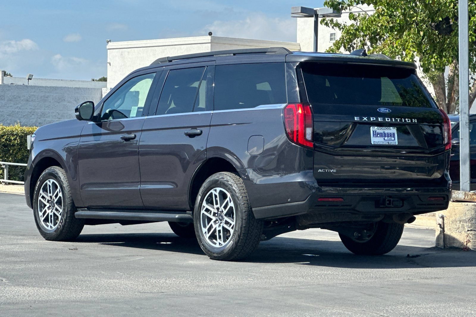 Used 2025 Ford Expedition Active AWD/4WD image 6