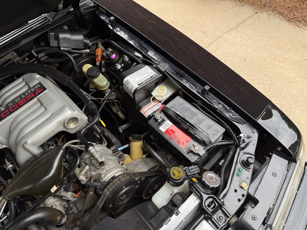 Used 1993 Ford Mustang Cobra RWD image 68