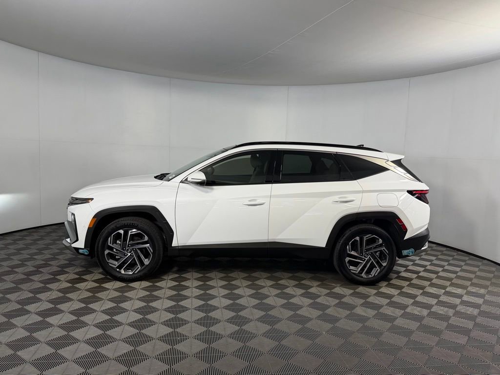 Used 2025 Hyundai Tucson Limited AWD/4WD image 8