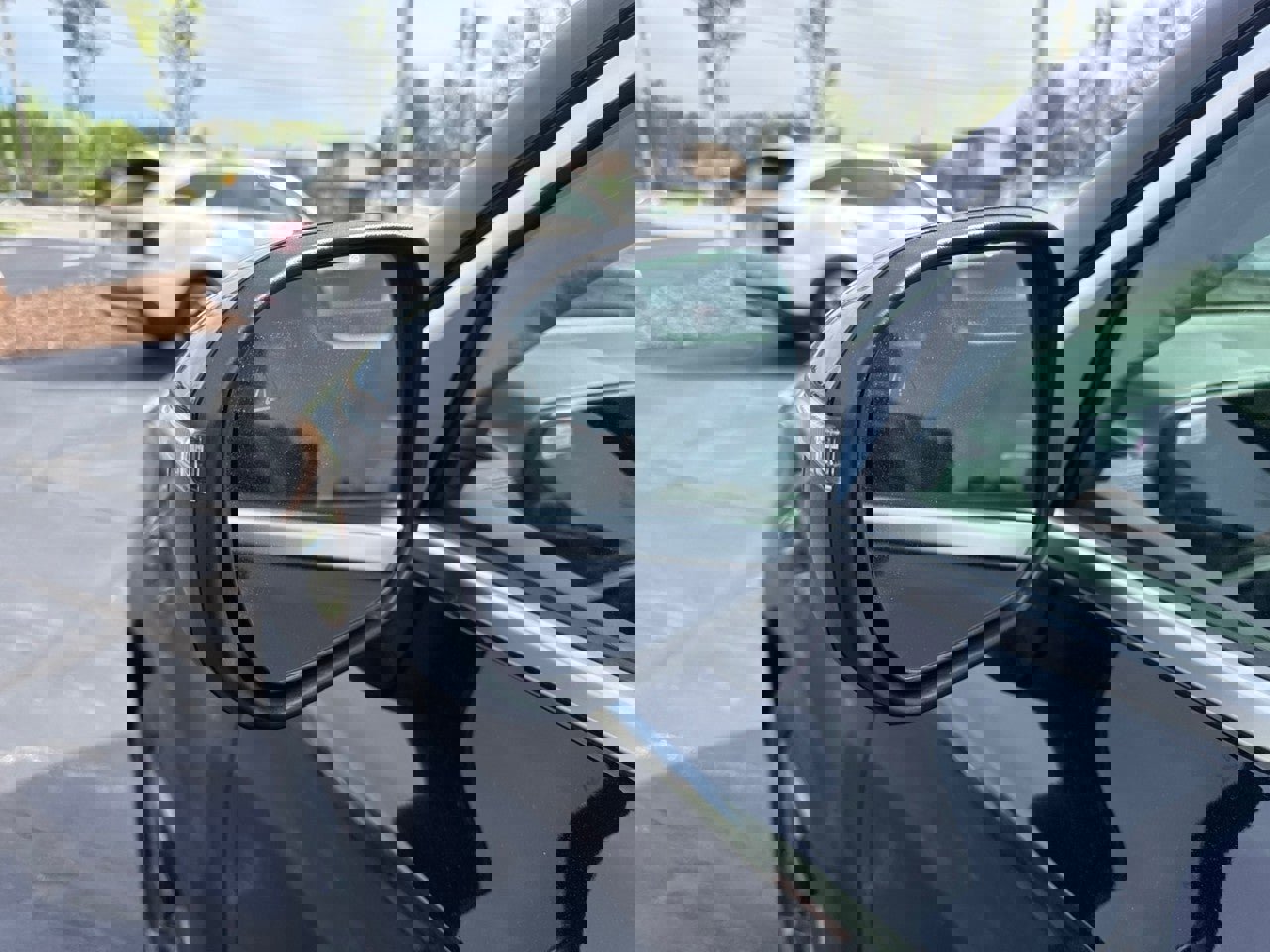 New 2025 Kia Telluride EX image 10