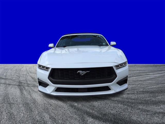 Certified 2024 Ford Mustang Premium RWD image 9