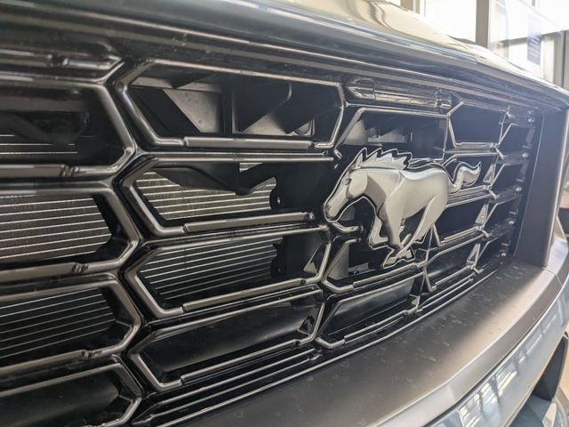 New 2025 Ford Mustang Dark Horse image 19