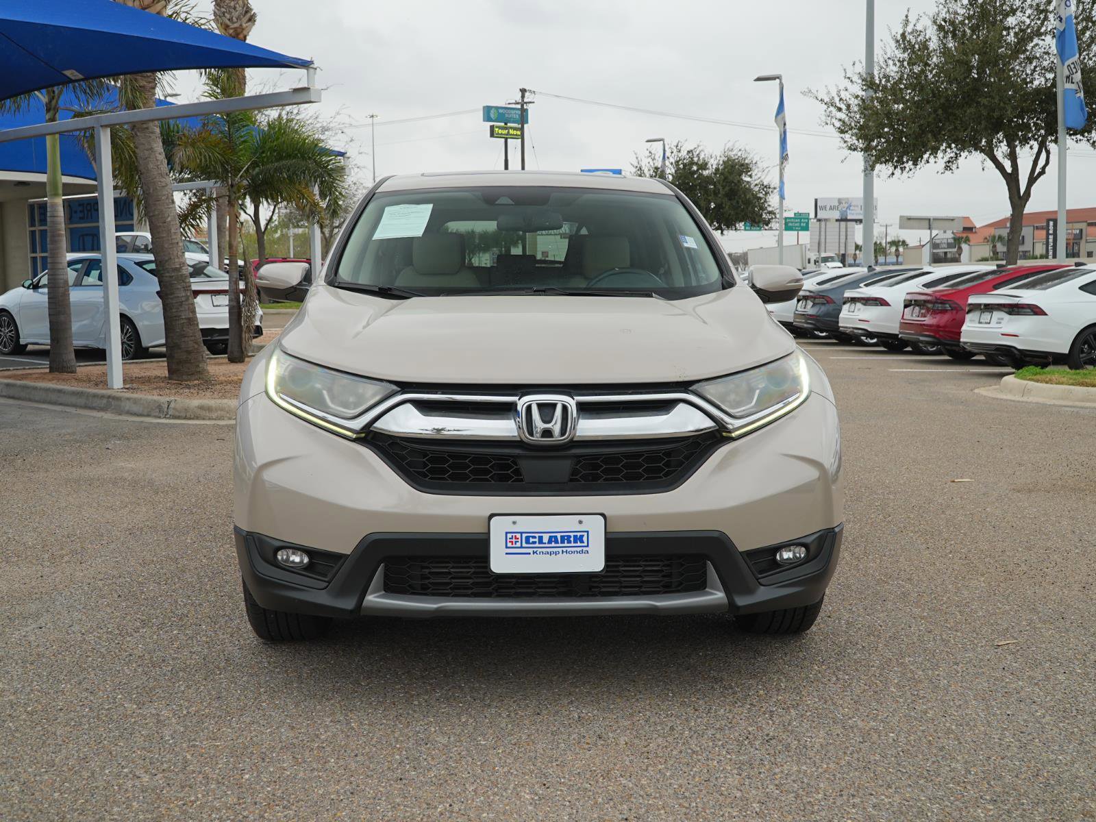 Used 2019 Honda CR-V EX-L image 2