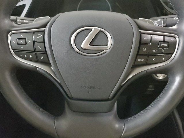 Certified 2023 Lexus ES 250 w/ Premium Package AWD/4WD image 22