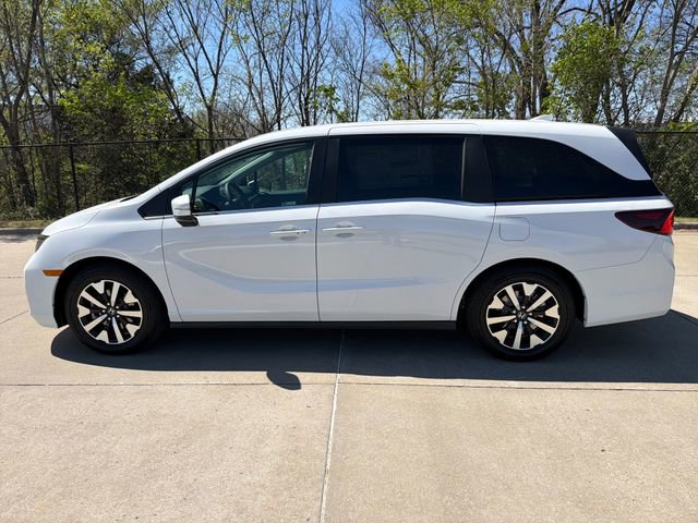 New 2026 Honda Odyssey EX-L image 2