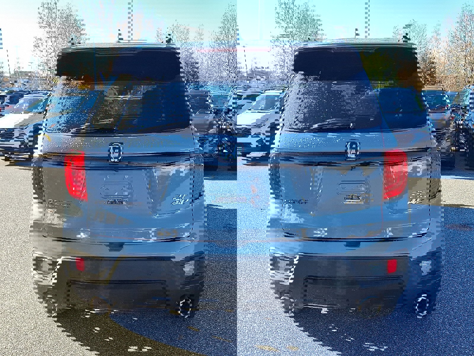 Used 2022 Honda Passport Elite image 5