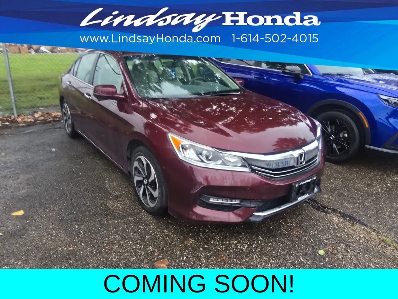 Used 2016 Honda Accord EX-L image 3