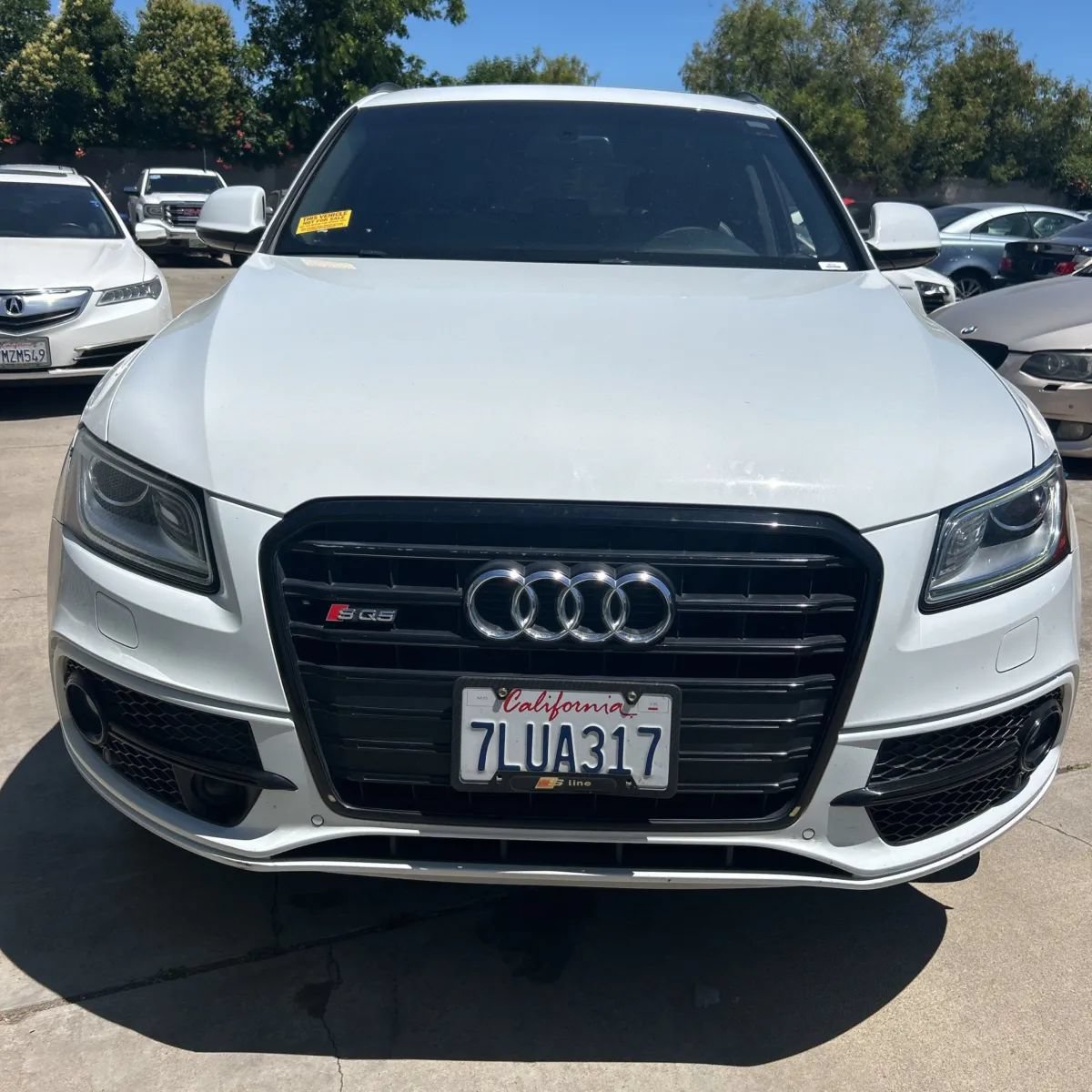 Used 2015 Audi SQ5 Prestige w/ Prestige Package AWD/4WD image 8