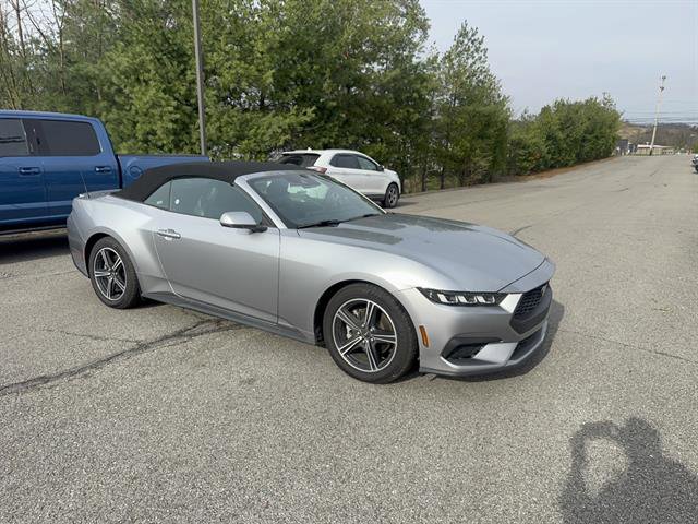 Used 2024 Ford Mustang Premium image 3