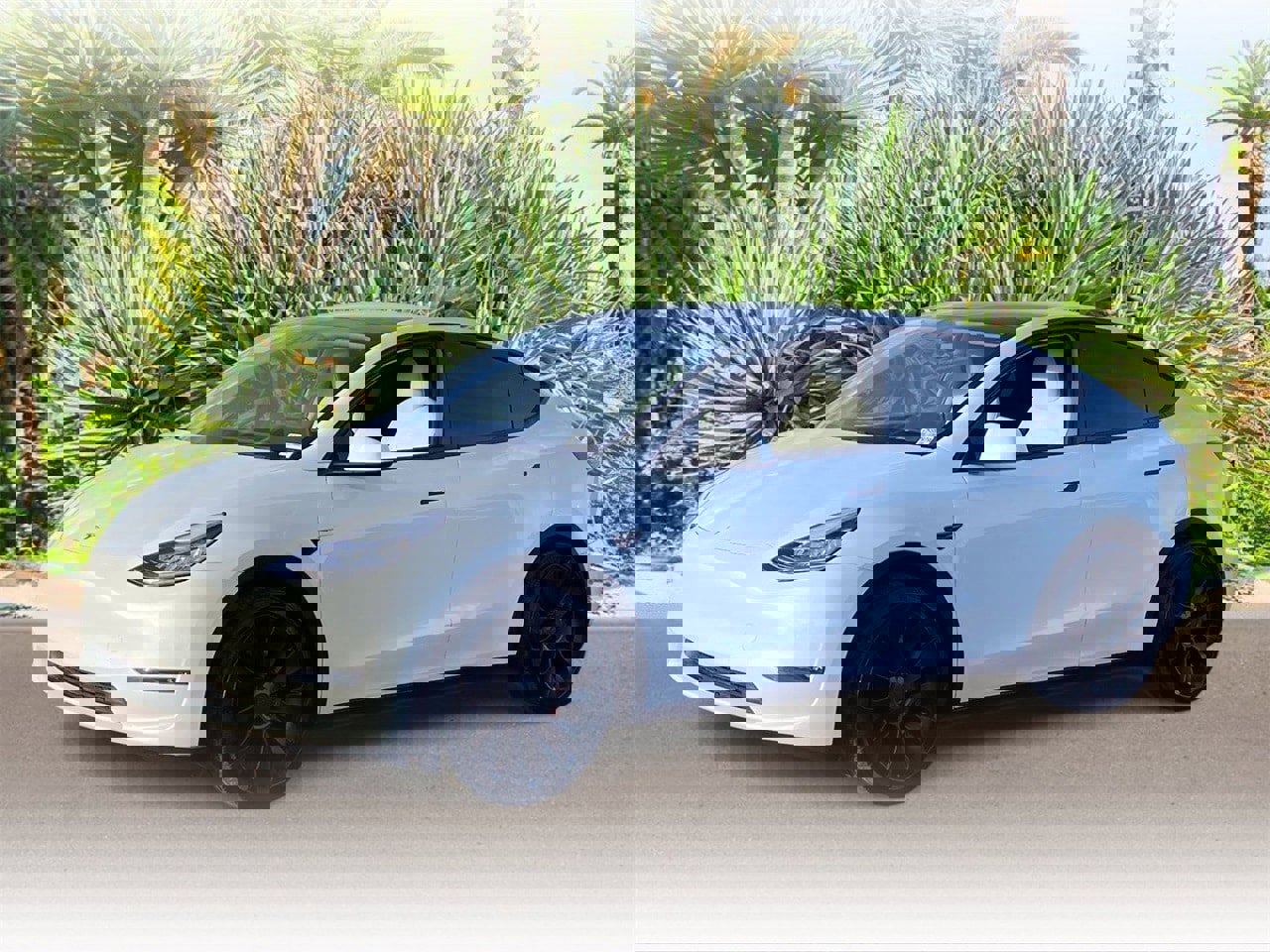 Used 2020 Tesla Model Y Performance
