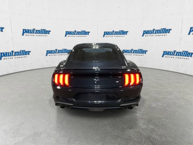 Used 2019 Ford Mustang EcoBoost w/ Black Accent Package image 10