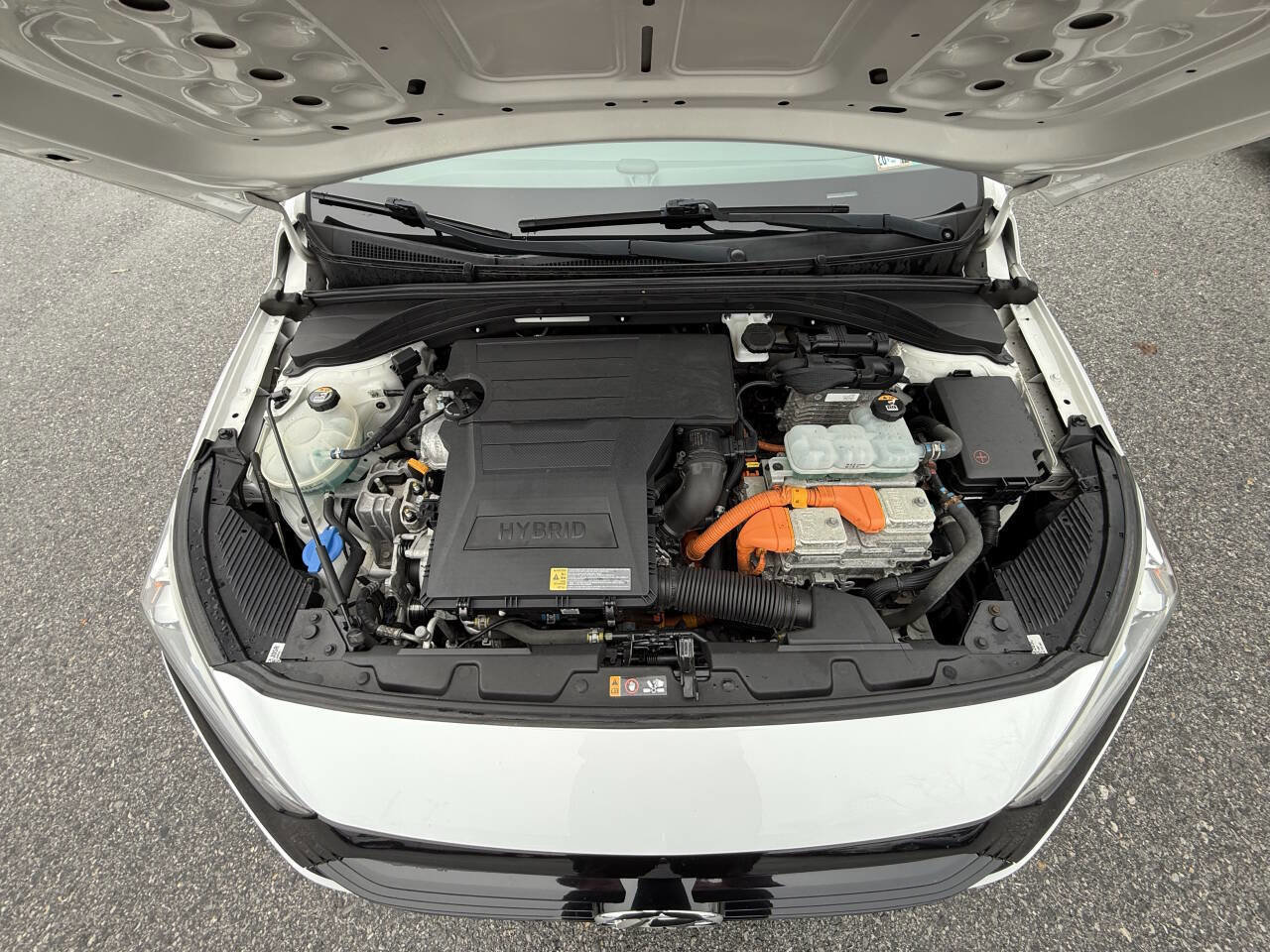 Used 2019 Hyundai Ioniq Blue image 25