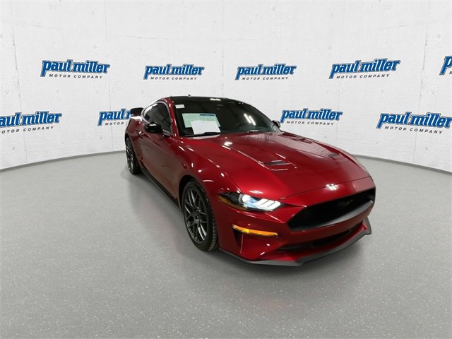 Used 2023 Ford Mustang Coupe w/ Equipment Group 101A image 2