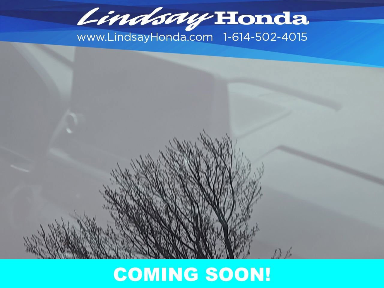 Used 2023 Honda CR-V Sport image 16