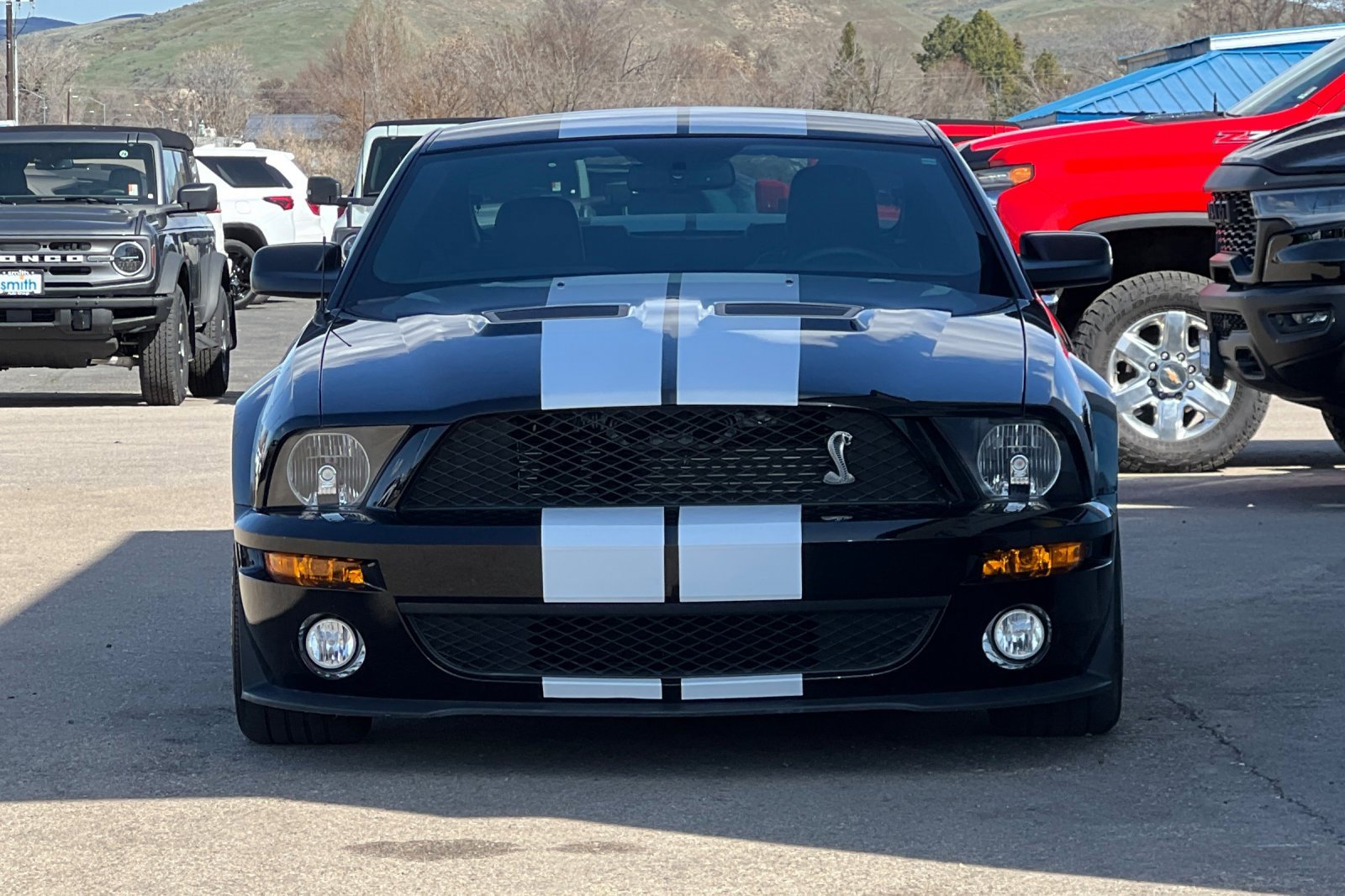 Used 2009 Ford Mustang Shelby GT500 image 9
